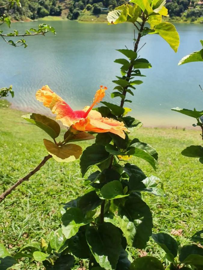 فيلا Igaratáفي Maravilhoso Sitio Na Beira Da Represa المظهر الخارجي الصورة